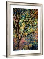 Kootenay Fall 3-Ursula Abresch-Framed Photographic Print