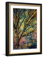 Kootenay Fall 3-Ursula Abresch-Framed Photographic Print