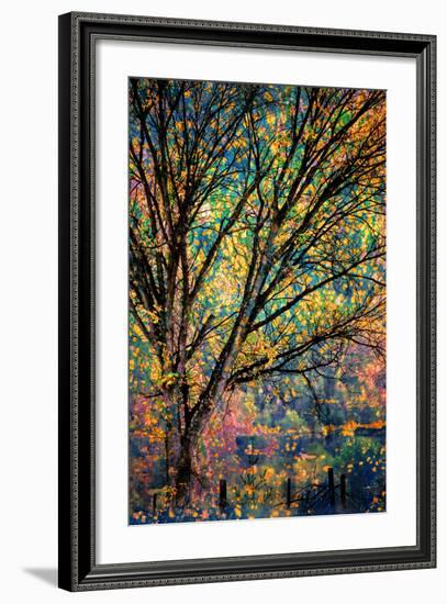 Kootenay Fall 3-Ursula Abresch-Framed Photographic Print