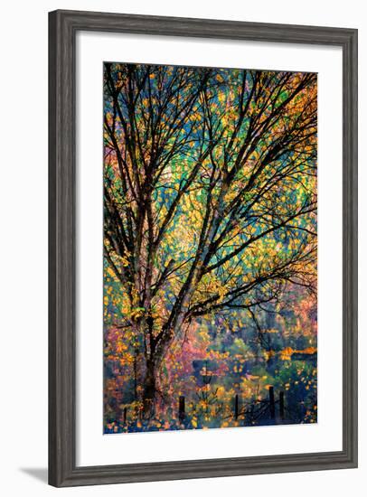 Kootenay Fall 3-Ursula Abresch-Framed Photographic Print