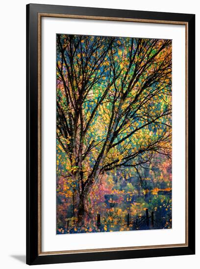 Kootenay Fall 3-Ursula Abresch-Framed Photographic Print