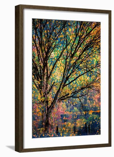 Kootenay Fall 3-Ursula Abresch-Framed Photographic Print