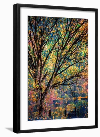 Kootenay Fall 3-Ursula Abresch-Framed Photographic Print