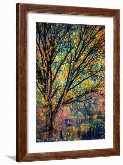 Kootenay Fall 3-Ursula Abresch-Framed Photographic Print