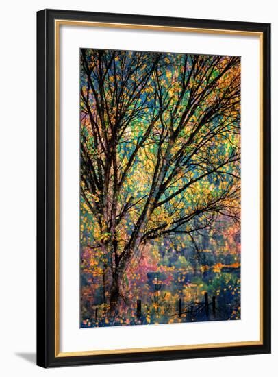 Kootenay Fall 3-Ursula Abresch-Framed Photographic Print