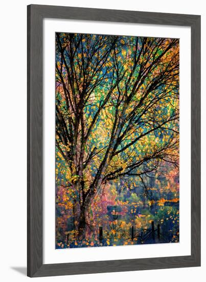 Kootenay Fall 3-Ursula Abresch-Framed Photographic Print