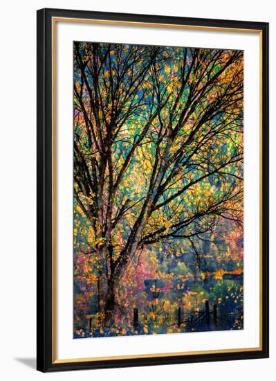 Kootenay Fall 3-Ursula Abresch-Framed Photographic Print