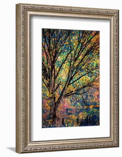 Kootenay Fall 3-Ursula Abresch-Framed Premium Photographic Print