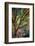 Kootenay Fall 3-Ursula Abresch-Framed Premium Photographic Print