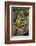 Kootenay Fall 3-Ursula Abresch-Framed Premium Photographic Print