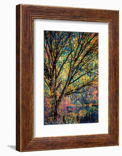 Kootenay Fall 3-Ursula Abresch-Framed Premium Photographic Print