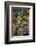 Kootenay Fall 3-Ursula Abresch-Framed Premium Photographic Print