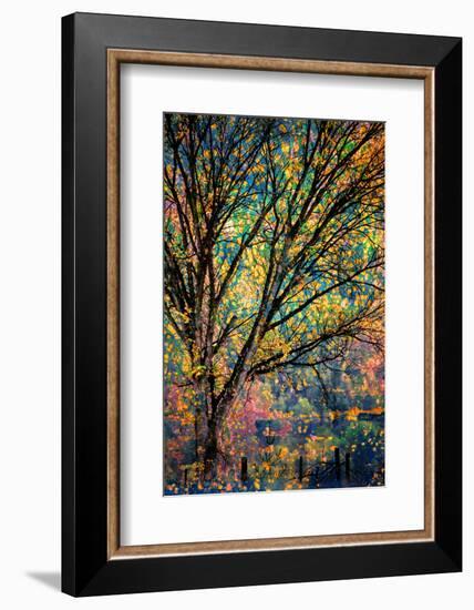 Kootenay Fall 3-Ursula Abresch-Framed Premium Photographic Print