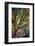 Kootenay Fall 3-Ursula Abresch-Framed Premium Photographic Print