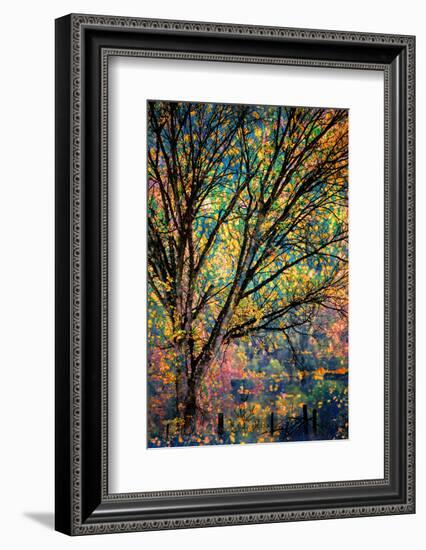 Kootenay Fall 3-Ursula Abresch-Framed Premium Photographic Print