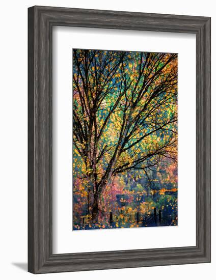 Kootenay Fall 3-Ursula Abresch-Framed Photographic Print