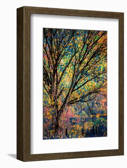 Kootenay Fall 3-Ursula Abresch-Framed Photographic Print