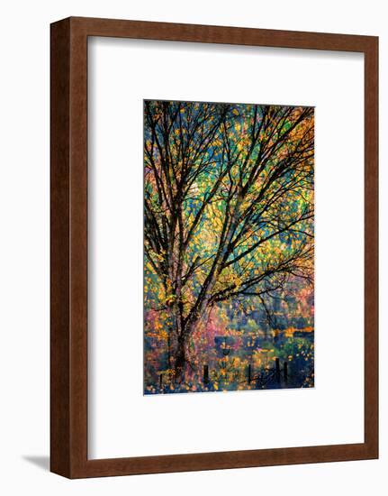 Kootenay Fall 3-Ursula Abresch-Framed Photographic Print