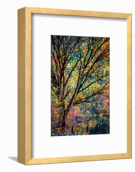 Kootenay Fall 3-Ursula Abresch-Framed Photographic Print