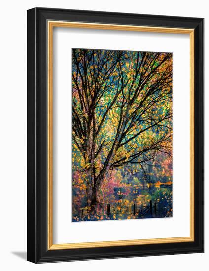 Kootenay Fall 3-Ursula Abresch-Framed Photographic Print