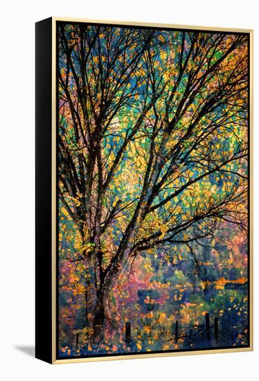 Kootenay Fall 3-Ursula Abresch-Framed Premier Image Canvas