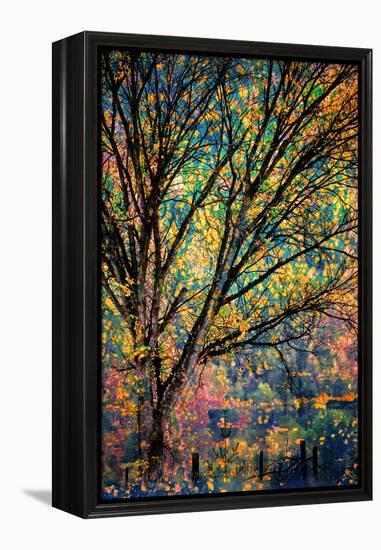 Kootenay Fall 3-Ursula Abresch-Framed Premier Image Canvas