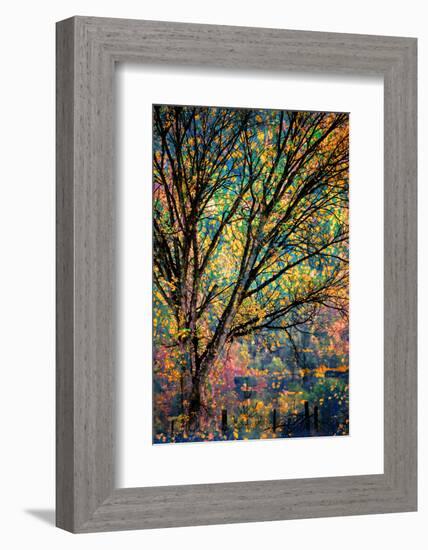 Kootenay Fall 3-Ursula Abresch-Framed Photographic Print