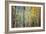 Kootenay Fall 4-Ursula Abresch-Framed Photographic Print