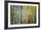 Kootenay Fall 4-Ursula Abresch-Framed Photographic Print