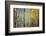 Kootenay Fall 4-Ursula Abresch-Framed Photographic Print