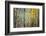 Kootenay Fall 4-Ursula Abresch-Framed Photographic Print