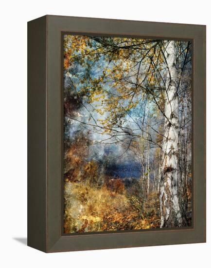 Kootenay Fall-Ursula Abresch-Framed Premier Image Canvas