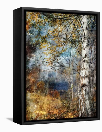 Kootenay Fall-Ursula Abresch-Framed Premier Image Canvas