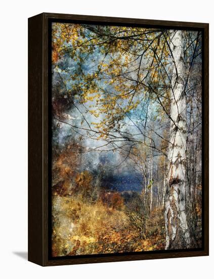 Kootenay Fall-Ursula Abresch-Framed Premier Image Canvas
