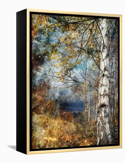 Kootenay Fall-Ursula Abresch-Framed Premier Image Canvas