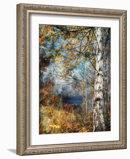 Kootenay Fall-Ursula Abresch-Framed Photographic Print