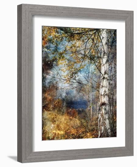 Kootenay Fall-Ursula Abresch-Framed Photographic Print