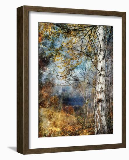 Kootenay Fall-Ursula Abresch-Framed Photographic Print