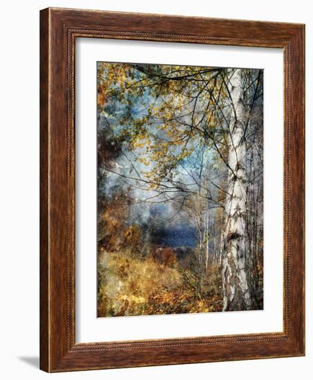 Kootenay Fall-Ursula Abresch-Framed Photographic Print