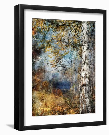 Kootenay Fall-Ursula Abresch-Framed Photographic Print