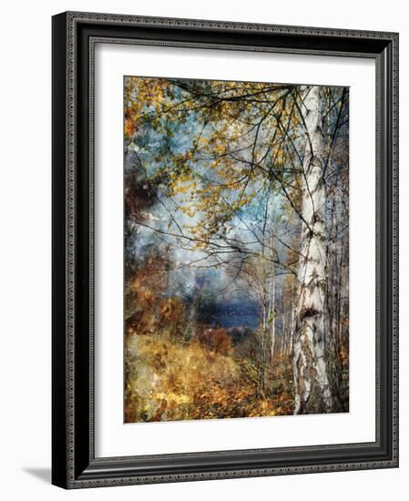 Kootenay Fall-Ursula Abresch-Framed Photographic Print