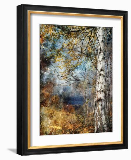 Kootenay Fall-Ursula Abresch-Framed Photographic Print