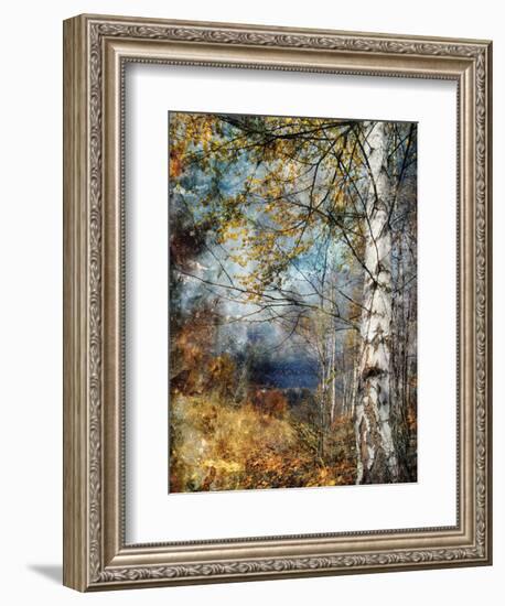 Kootenay Fall-Ursula Abresch-Framed Photographic Print