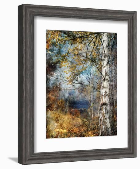 Kootenay Fall-Ursula Abresch-Framed Photographic Print