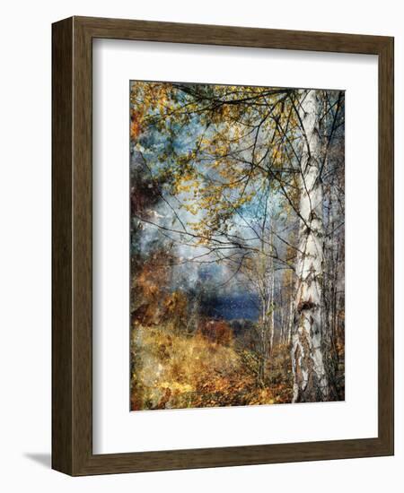 Kootenay Fall-Ursula Abresch-Framed Photographic Print