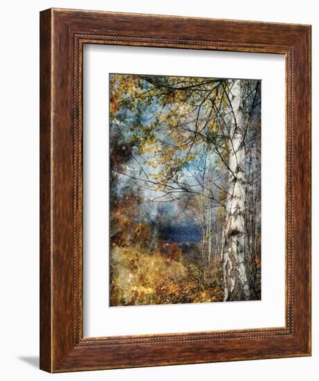 Kootenay Fall-Ursula Abresch-Framed Photographic Print