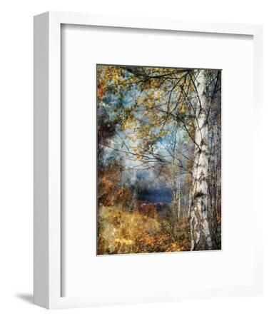 'Kootenay Fall' Photographic Print - Ursula Abresch | Art.com