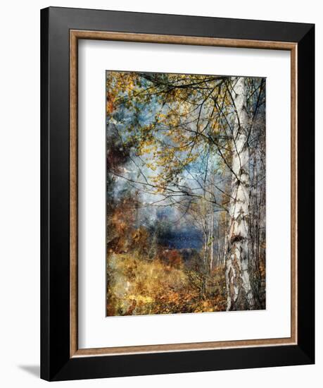 Kootenay Fall-Ursula Abresch-Framed Photographic Print