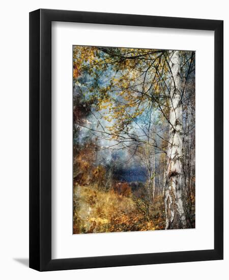 Kootenay Fall-Ursula Abresch-Framed Photographic Print