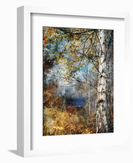 Kootenay Fall-Ursula Abresch-Framed Photographic Print